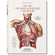 Buy Bourgery. Atlas of Human Anatomy and Surgery Book Online at